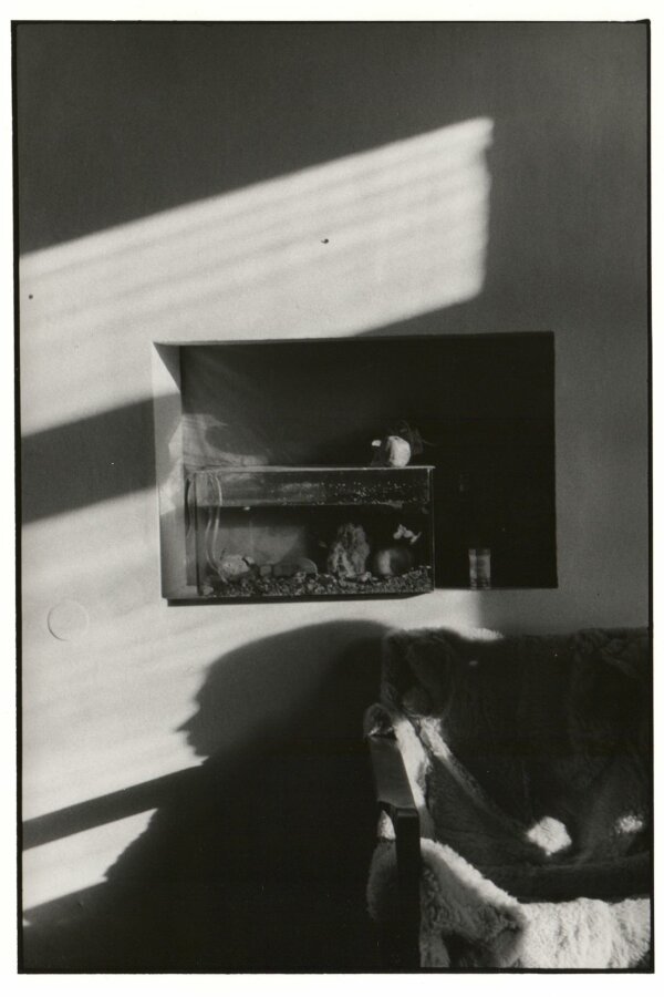 „ZÁTIŠÍ PRO ČÁGA“, Praha 1981, katalog „PHOTOGRAPHY“ „FOTOGRAFIER“